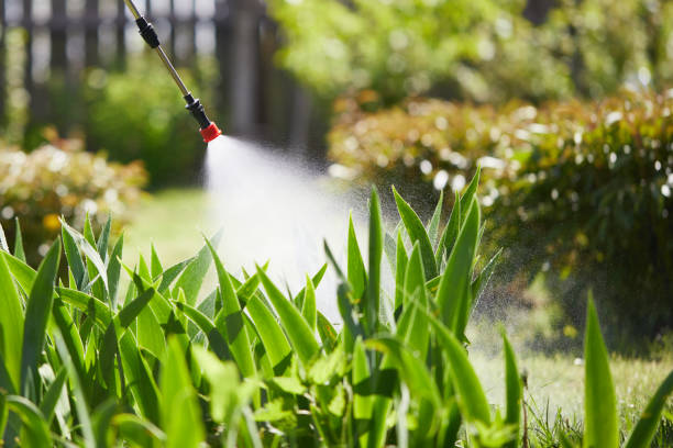 Tamper-Resistant Bait Stations for Rodents in Long View