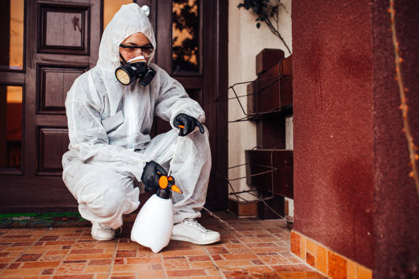 Attic and Crawl Space Rodent Treatment in Long View